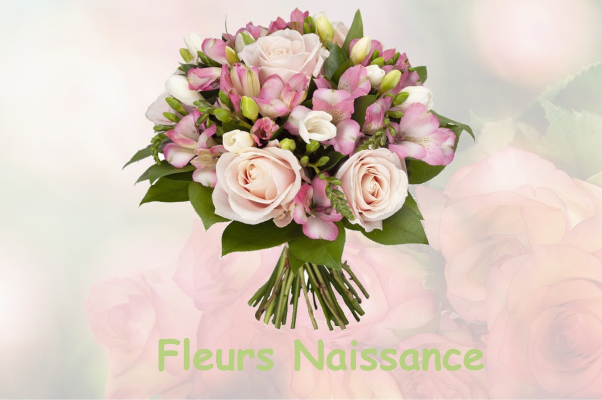 fleurs naissance EAUNES