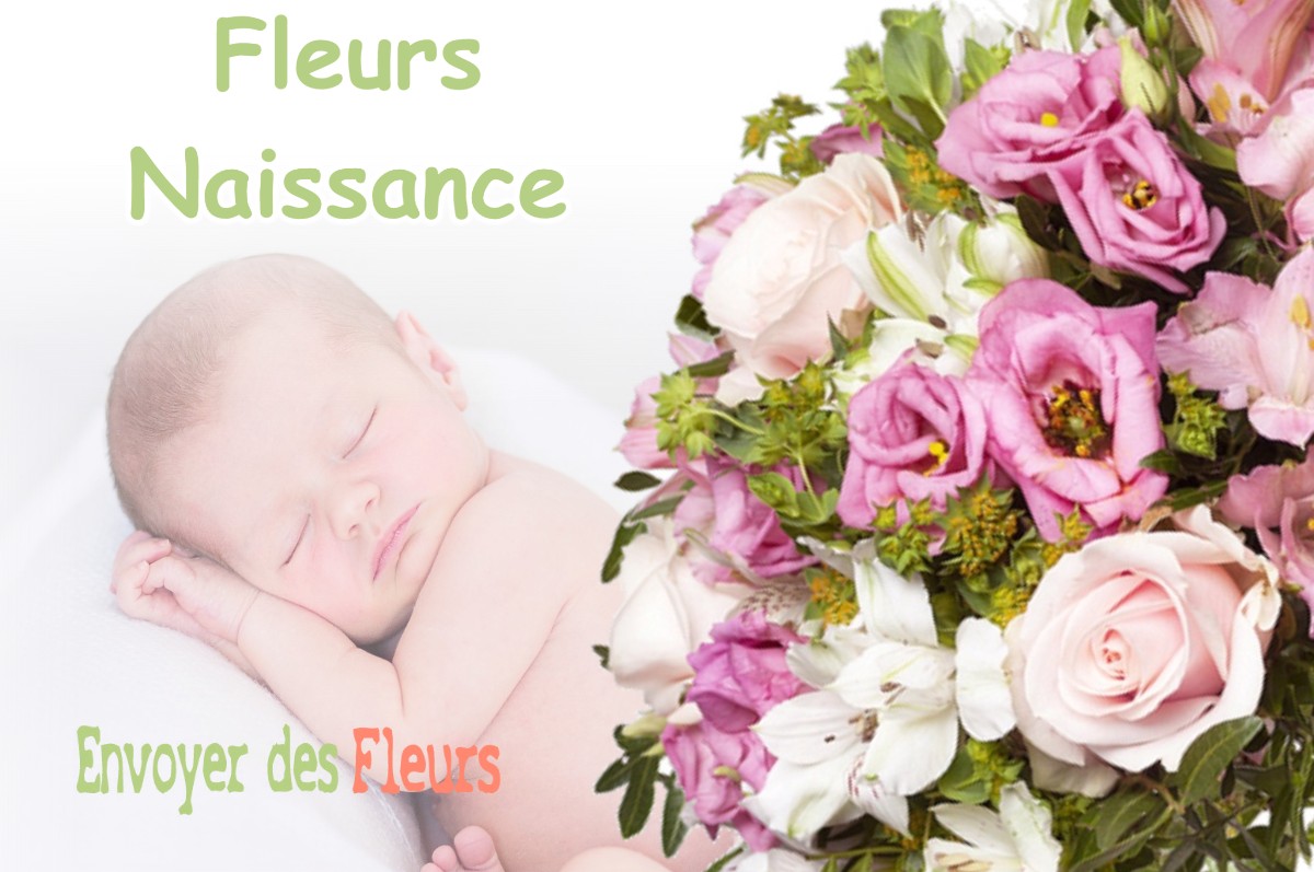 lIVRAISON FLEURS NAISSANCE à EAUNES